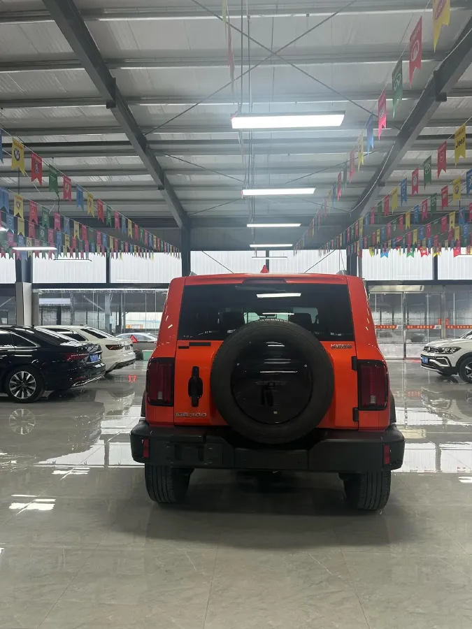 2023 Tank 300 2.0T 227HP L4 8AT,autocango,china used car exporter,china ev exporter,chinese used car exporter,chinese used ev exporter