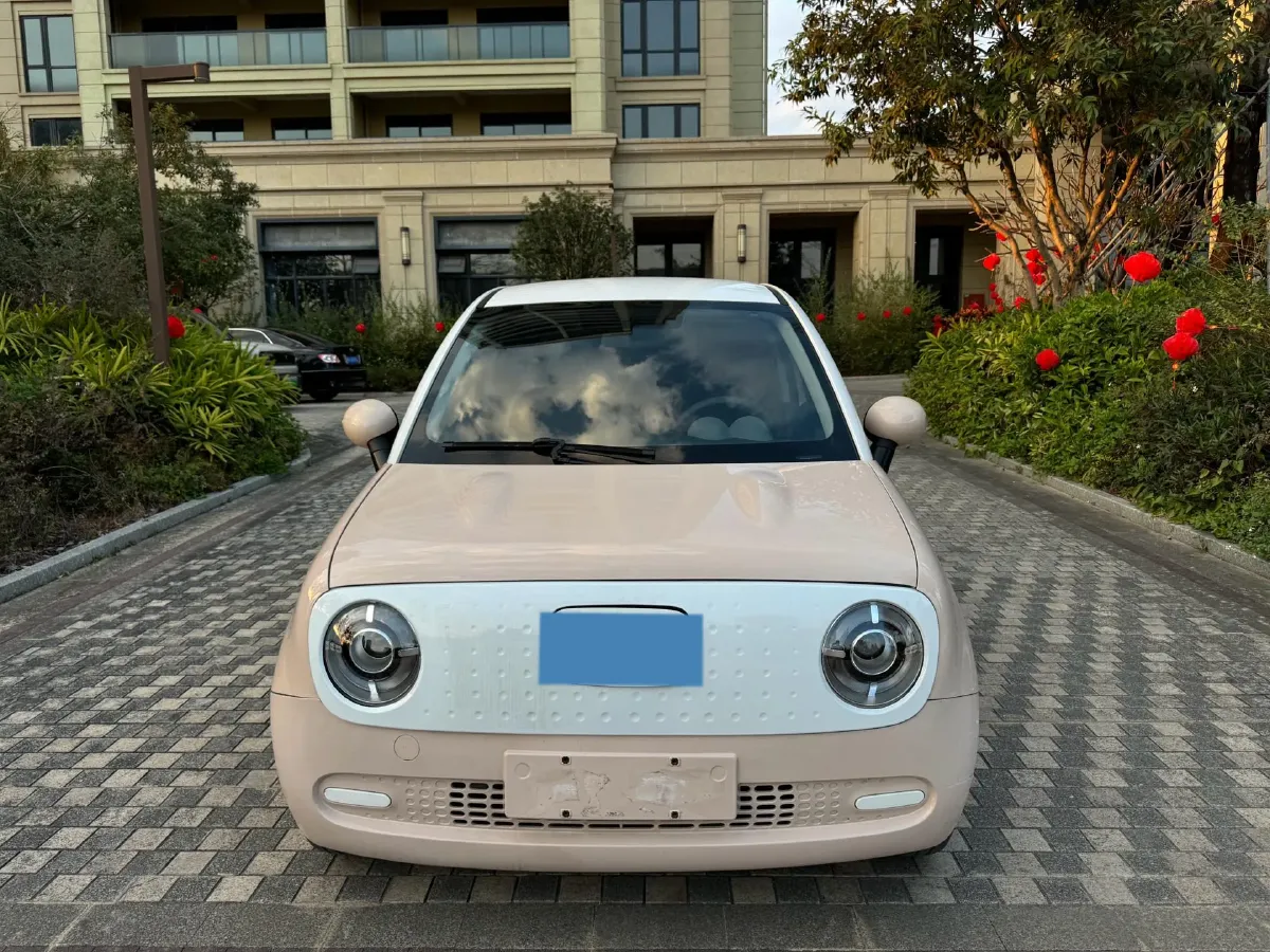 2022 Ora BlackCat BEV 30.3KWH,autocango,china used car exporter,china ev exporter,chinese used car exporter,chinese used ev exporter