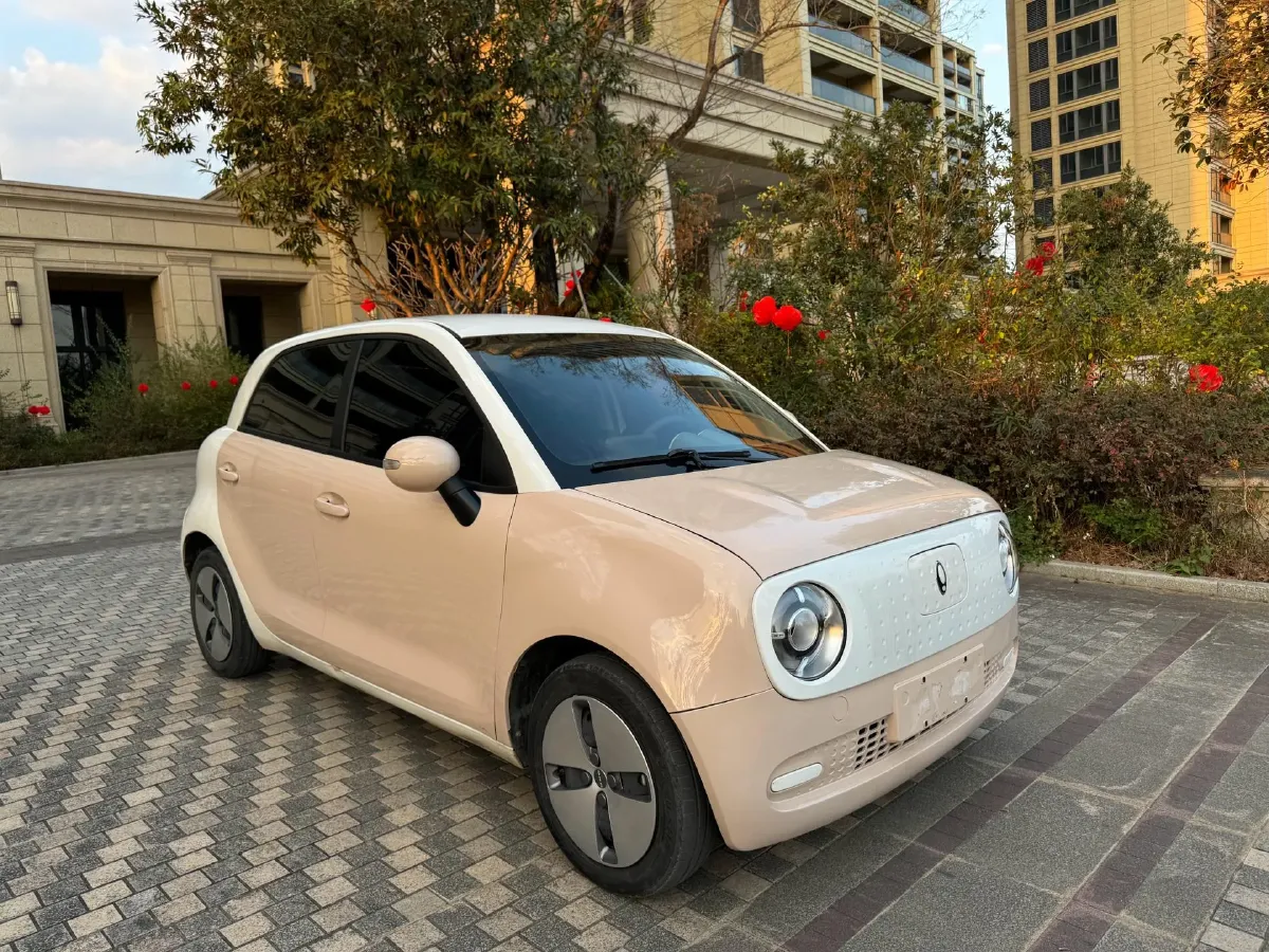 2022 Ora BlackCat BEV 30.3KWH,autocango,china used car exporter,china ev exporter,chinese used car exporter,chinese used ev exporter