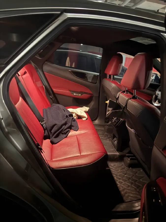 2022 Lexus NX 2.5L 192HP L4 E-CVT Hybrid,autocango,china used car exporter,china ev exporter,chinese used car exporter,chinese used ev exporter