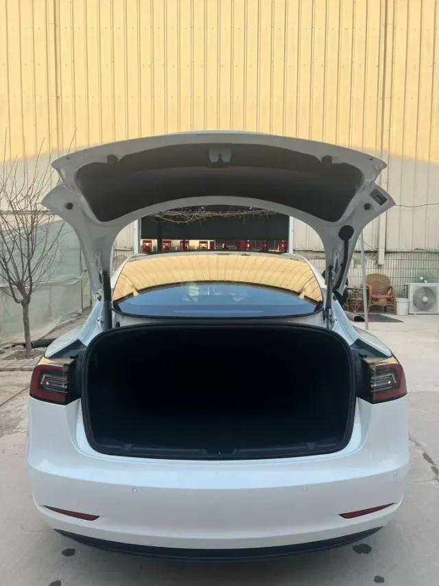 2021 Tesla Model 3 BEV 55KWH,autocango,china used car exporter,china ev exporter,chinese used car exporter,chinese used ev exporter