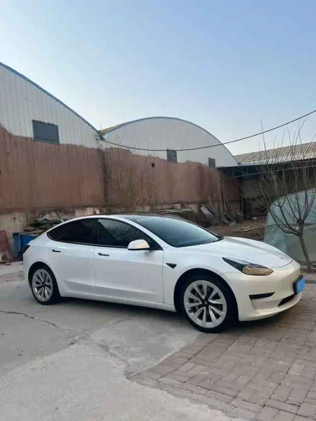 2021 Tesla Model 3 BEV 55KWH,autocango,china used car exporter,china ev exporter,chinese used car exporter,chinese used ev exporter