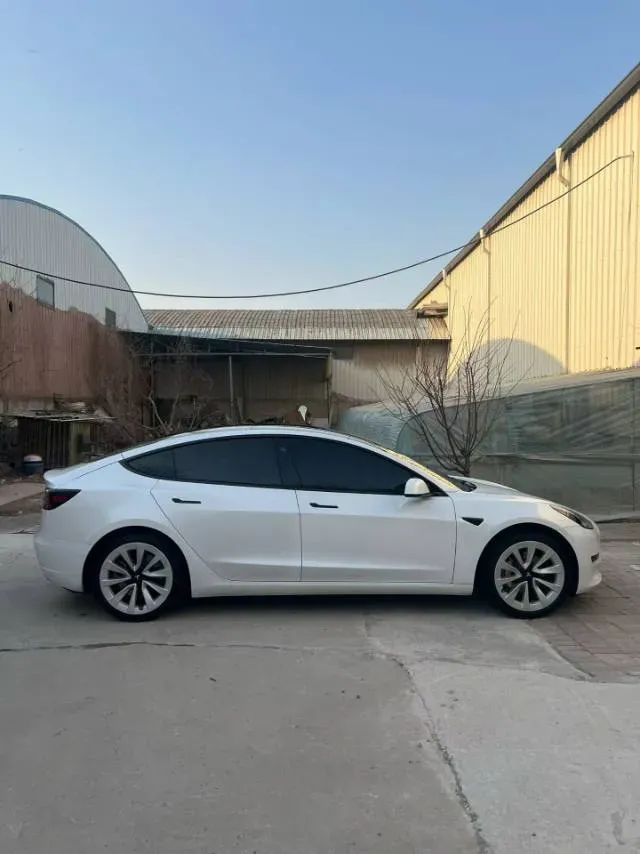 2021 Tesla Model 3 BEV 55KWH,autocango,china used car exporter,china ev exporter,chinese used car exporter,chinese used ev exporter