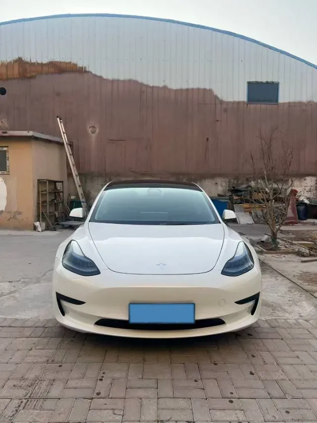 2021 Tesla Model 3 BEV 55KWH,autocango,china used car exporter,china ev exporter,chinese used car exporter,chinese used ev exporter