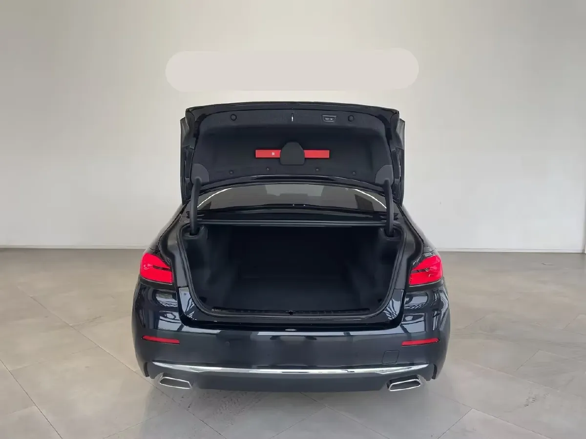 2023 BMW 5 Series 2.0T 245HP L4 8AT,autocango,china used car exporter,china ev exporter,chinese used car exporter,chinese used ev exporter