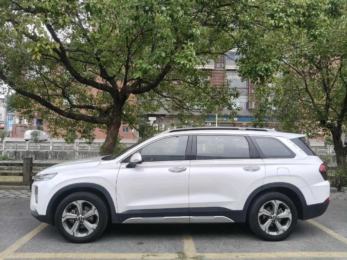 2019 Hyundai Santafe 2.0T 240HP L4 8AT,autocango,china used car exporter,china ev exporter,chinese used car exporter,chinese used ev exporter