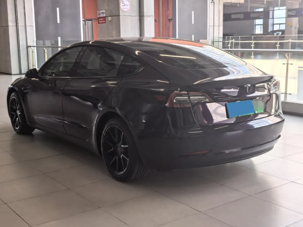 2021 Tesla Model 3 BEV 55KWH,autocango,china used car exporter,china ev exporter,chinese used car exporter,chinese used ev exporter