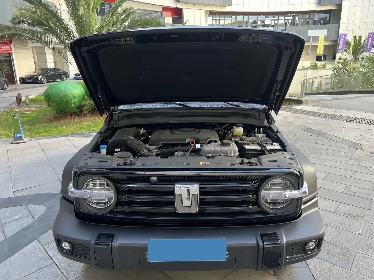 2025 Tank 300 2.0T 227HP L4 9AT,autocango,china used car exporter,china ev exporter,chinese used car exporter,chinese used ev exporter