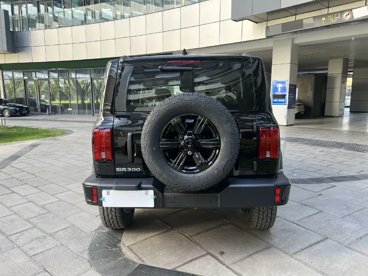 2025 Tank 300 2.0T 227HP L4 9AT,autocango,china used car exporter,china ev exporter,chinese used car exporter,chinese used ev exporter