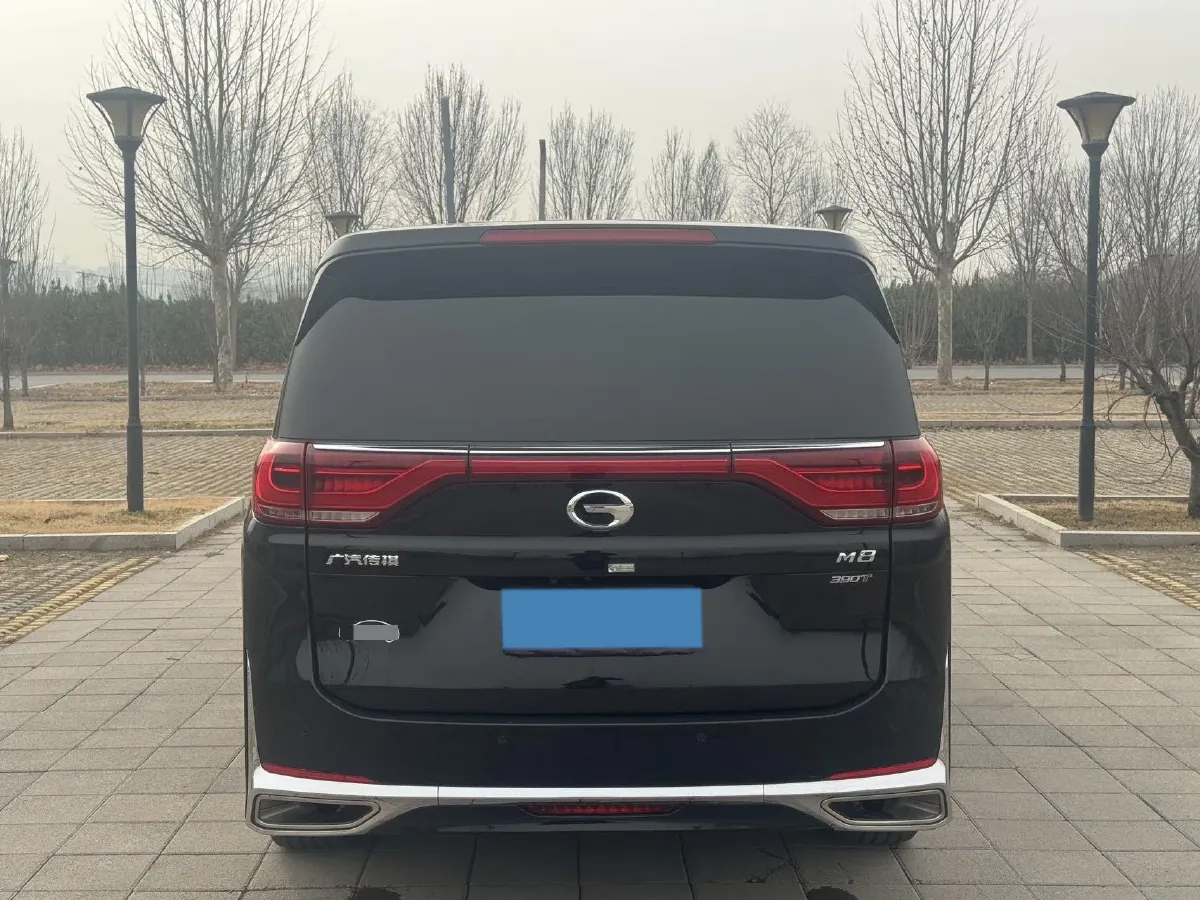 2021 GAC Trumpchi M8 2.0T 252HP L4 8AT,autocango,china used car exporter,china ev exporter,chinese used car exporter,chinese used ev exporter