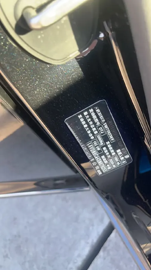 2025 Volkswagen Passat 2.0T 220HP L4 7DCT,autocango,china used car exporter,china ev exporter,chinese used car exporter,chinese used ev exporter