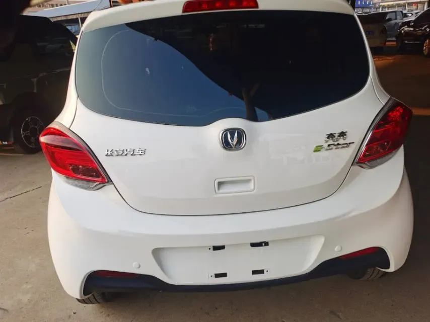 2021 ChangAn BenBen E-Star BEV 31.95KWH,autocango,china used car exporter,china ev exporter,chinese used car exporter,chinese used ev exporter