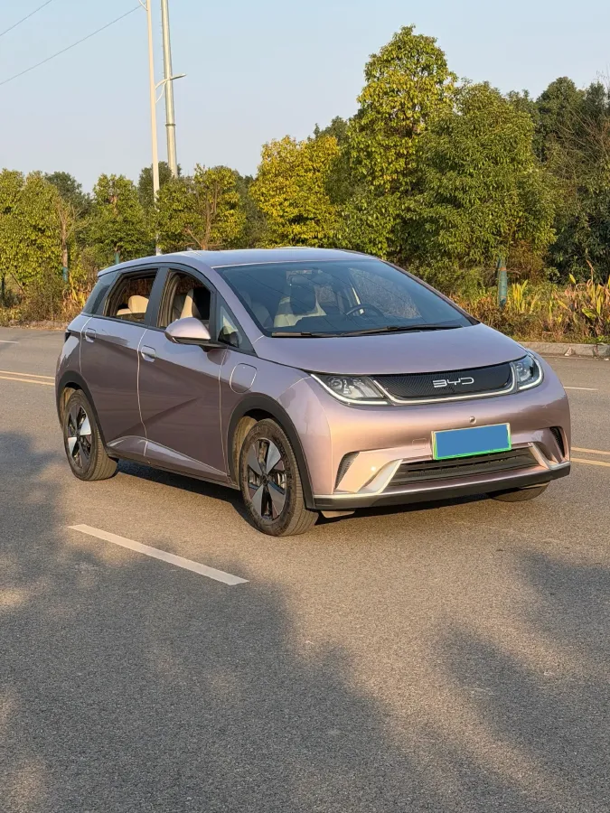 2023 BYD Dolphin BEV 44.928KWH,autocango,china used car exporter,china ev exporter,chinese used car exporter,chinese used ev exporter