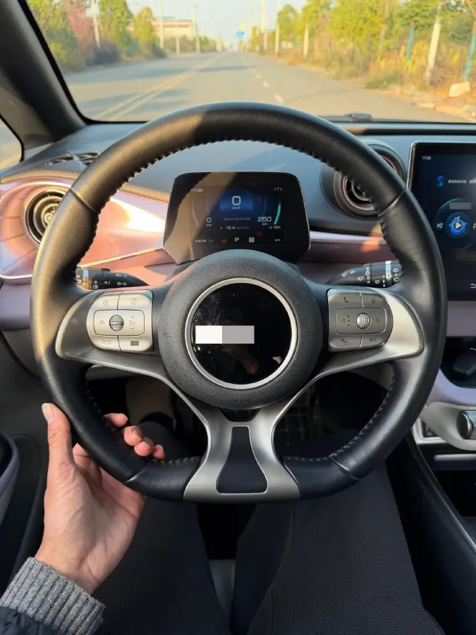 2023 BYD Dolphin BEV 44.928KWH,autocango,china used car exporter,china ev exporter,chinese used car exporter,chinese used ev exporter