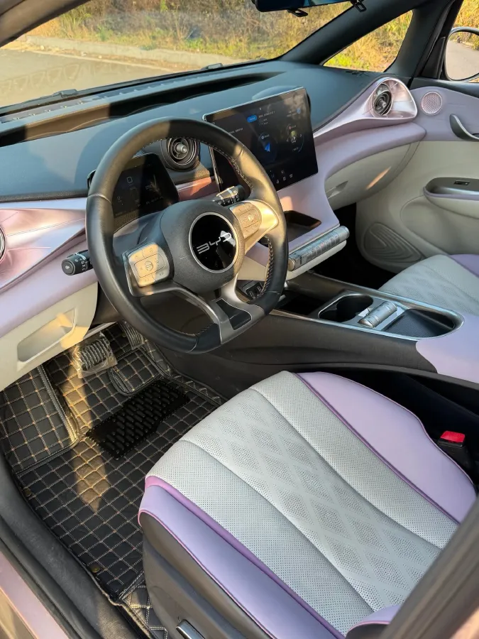 2023 BYD Dolphin BEV 44.928KWH,autocango,china used car exporter,china ev exporter,chinese used car exporter,chinese used ev exporter