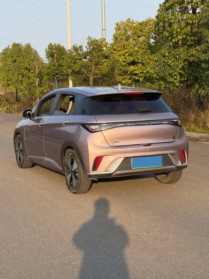 2023 BYD Dolphin BEV 44.928KWH,autocango,china used car exporter,china ev exporter,chinese used car exporter,chinese used ev exporter