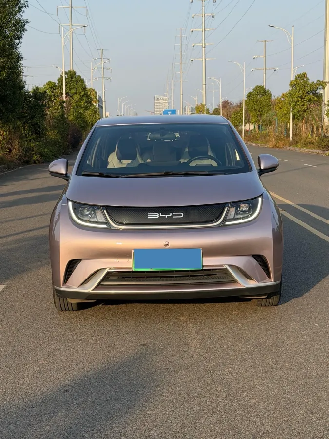 2023 BYD Dolphin BEV 44.928KWH,autocango,china used car exporter,china ev exporter,chinese used car exporter,chinese used ev exporter