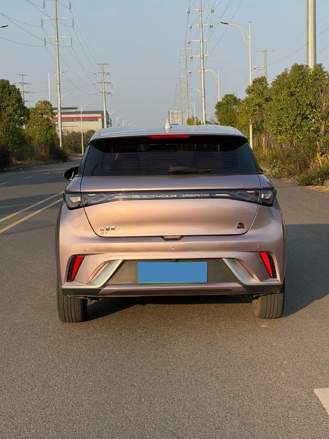 2023 BYD Dolphin BEV 44.928KWH,autocango,china used car exporter,china ev exporter,chinese used car exporter,chinese used ev exporter