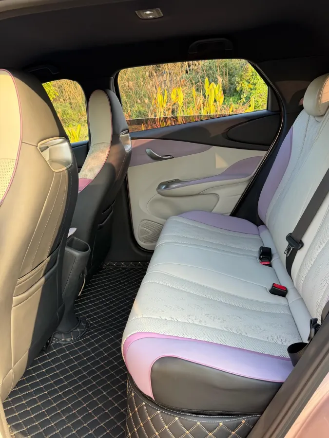 2023 BYD Dolphin BEV 44.928KWH,autocango,china used car exporter,china ev exporter,chinese used car exporter,chinese used ev exporter