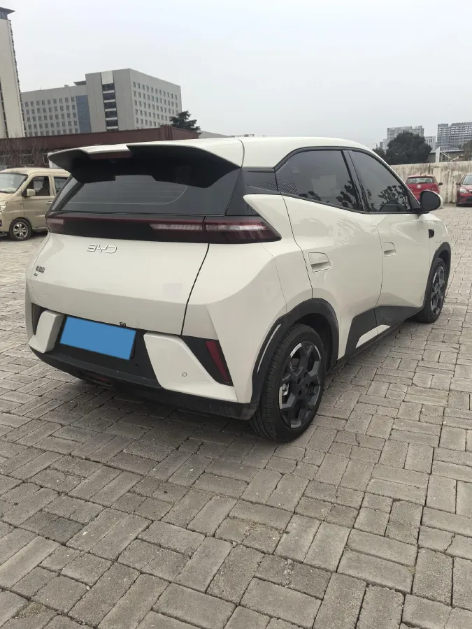 2025 BYD Seagull BEV 30.08KWH,autocango,china used car exporter,china ev exporter,chinese used car exporter,chinese used ev exporter