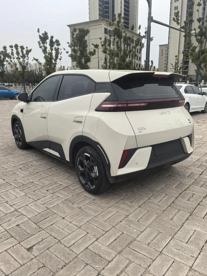 2025 BYD Seagull BEV 30.08KWH,autocango,china used car exporter,china ev exporter,chinese used car exporter,chinese used ev exporter