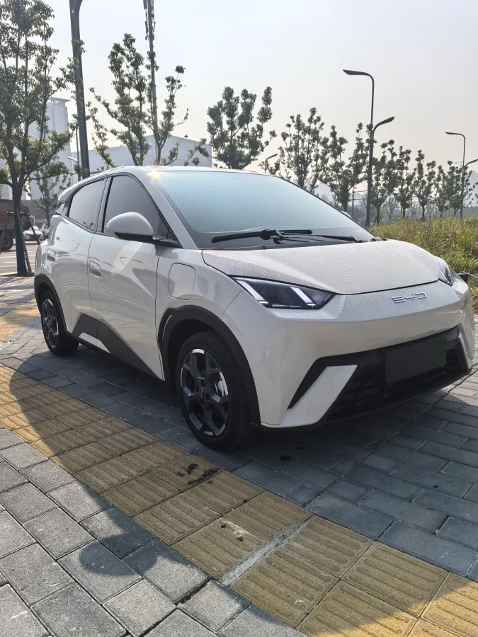 2025 BYD Seagull BEV 30.08KWH,autocango,china used car exporter,china ev exporter,chinese used car exporter,chinese used ev exporter