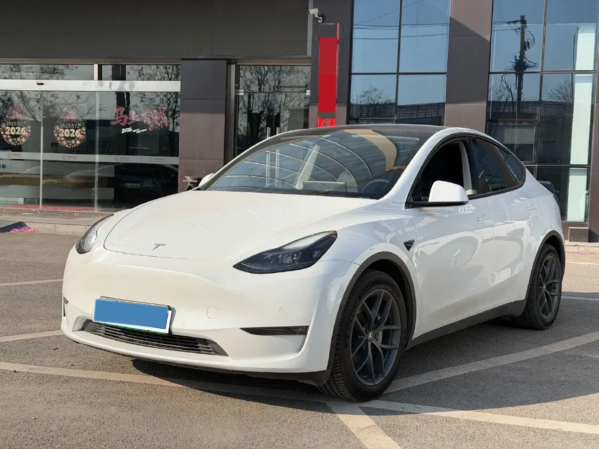 2021 Tesla Model 3 BEV 76.8KWH,autocango,china used car exporter,china ev exporter,chinese used car exporter,chinese used ev exporter