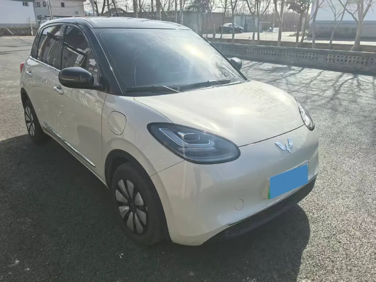 2023 WuLing BinGuo BEV 37.9KWH,autocango,china used car exporter,china ev exporter,chinese used car exporter,chinese used ev exporter