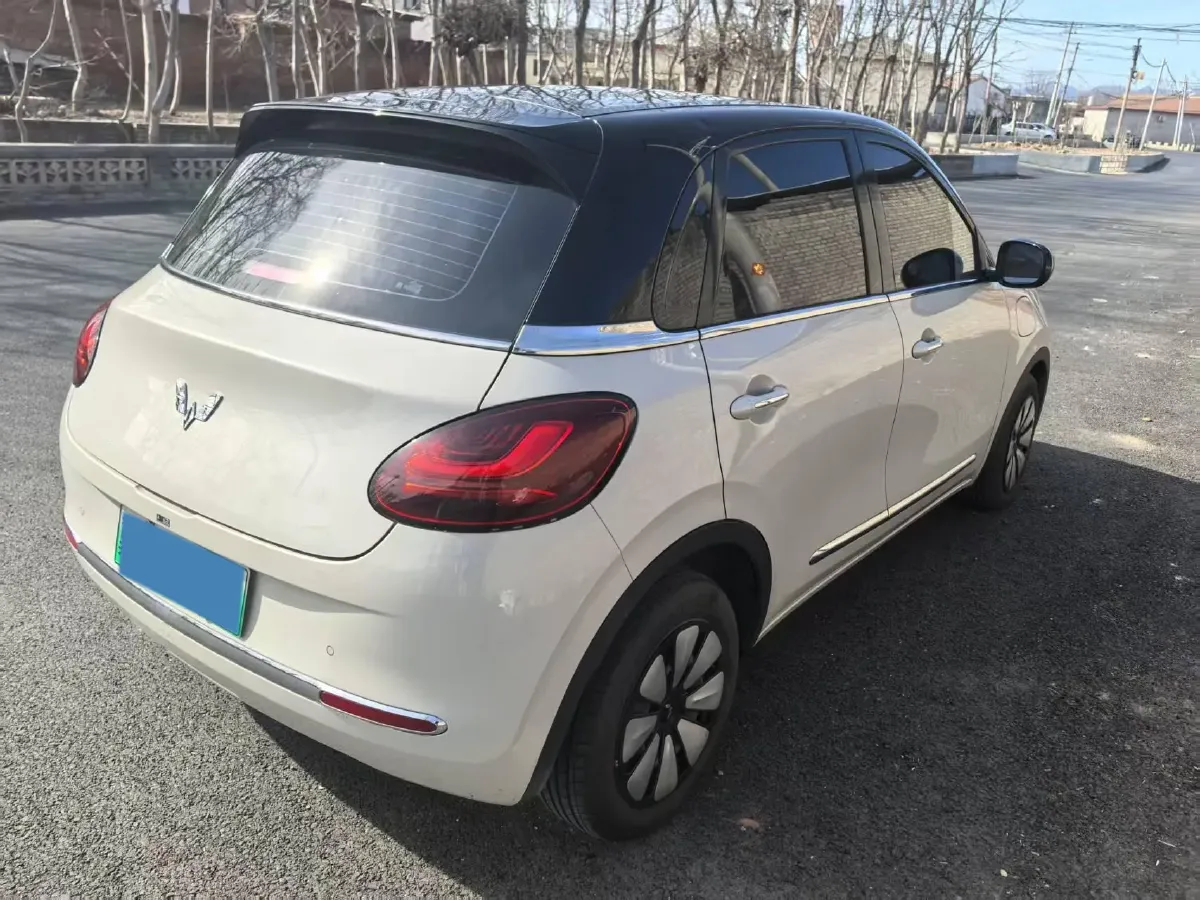 2023 WuLing BinGuo BEV 37.9KWH,autocango,china used car exporter,china ev exporter,chinese used car exporter,chinese used ev exporter