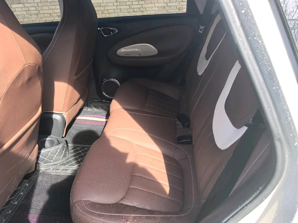 2023 WuLing BinGuo BEV 37.9KWH,autocango,china used car exporter,china ev exporter,chinese used car exporter,chinese used ev exporter