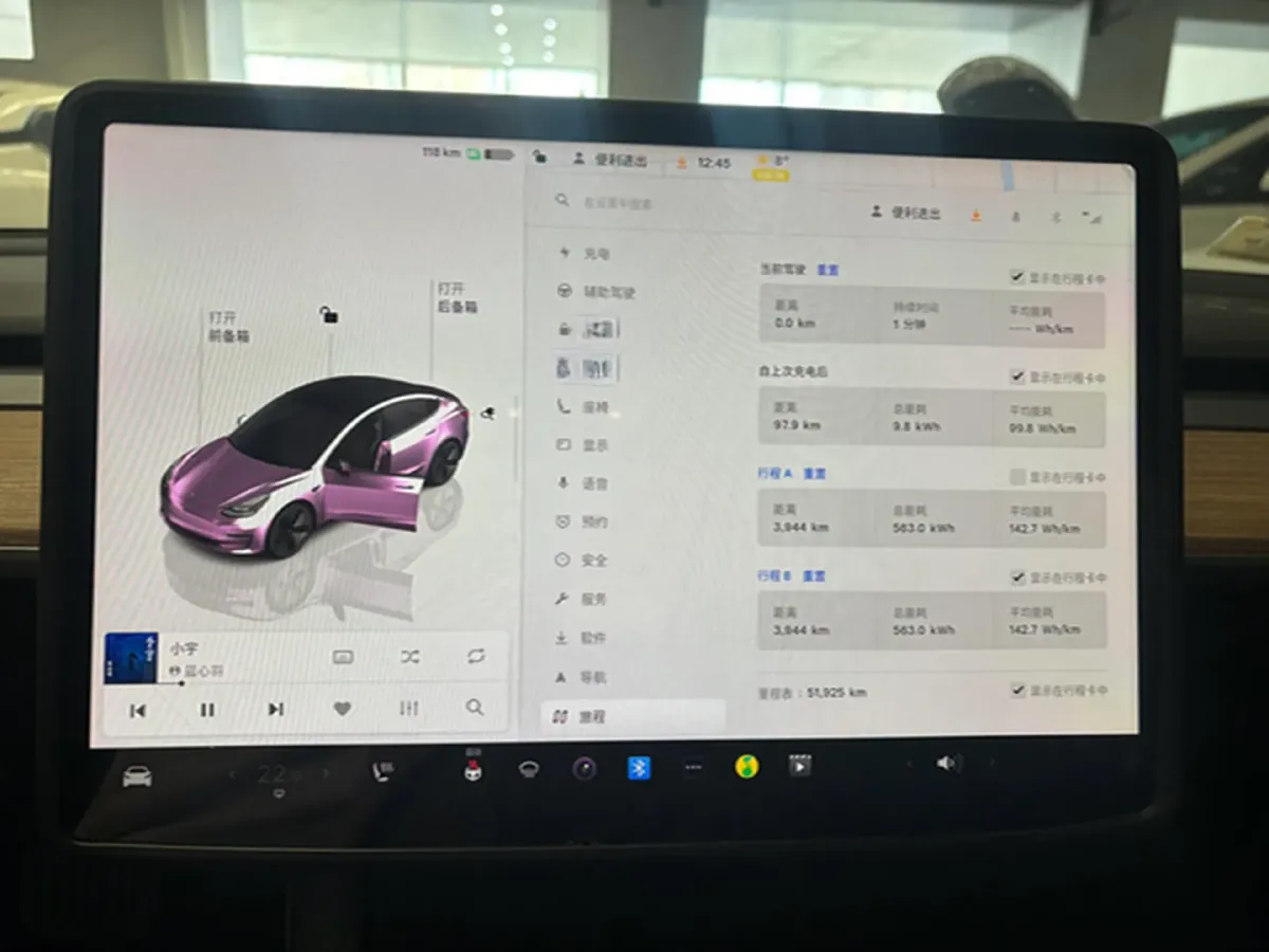 2022 Tesla Model 3 BEV 60KWH,autocango,china used car exporter,china ev exporter,chinese used car exporter,chinese used ev exporter