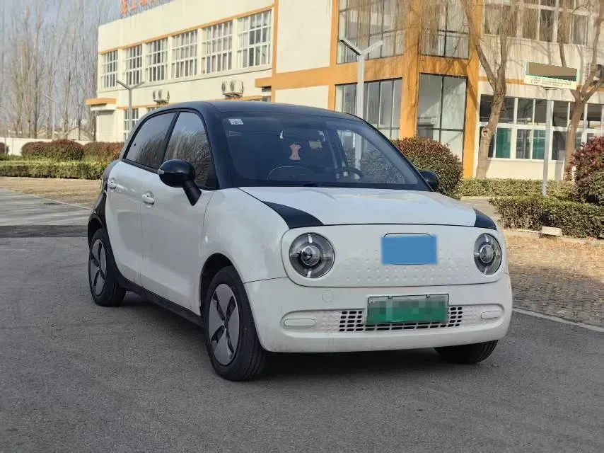 2021 Ora BlackCat BEV 30.3KWH,autocango,china used car exporter,china ev exporter,chinese used car exporter,chinese used ev exporter