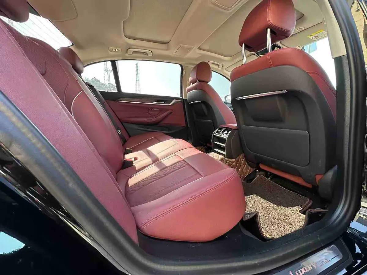 2021 BMW 5 Series 2.0T 184HP L4 8AT PHEV 17.7KWH,autocango,china used car exporter,china ev exporter,chinese used car exporter,chinese used ev exporter