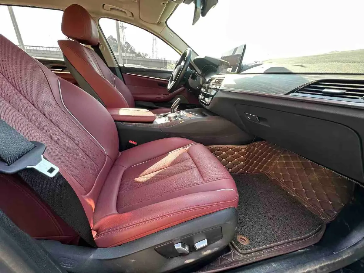 2021 BMW 5 Series 2.0T 184HP L4 8AT PHEV 17.7KWH,autocango,china used car exporter,china ev exporter,chinese used car exporter,chinese used ev exporter