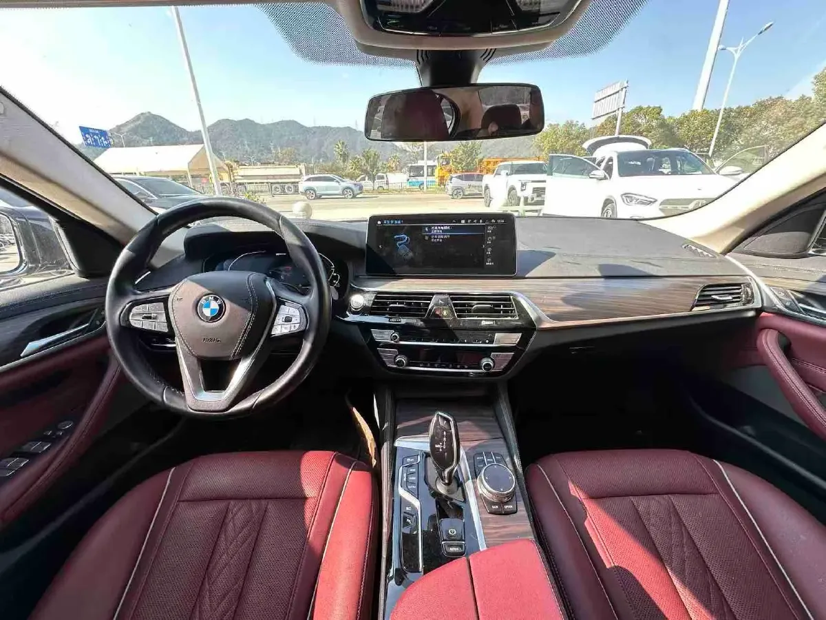 2021 BMW 5 Series 2.0T 184HP L4 8AT PHEV 17.7KWH,autocango,china used car exporter,china ev exporter,chinese used car exporter,chinese used ev exporter