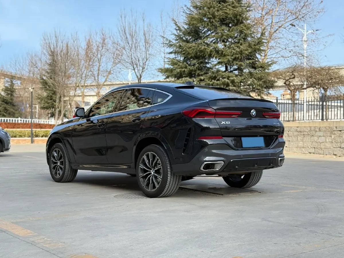 2023 BMW X6 2.0T 258HP L4 8AT,autocango,china used car exporter,china ev exporter,chinese used car exporter,chinese used ev exporter