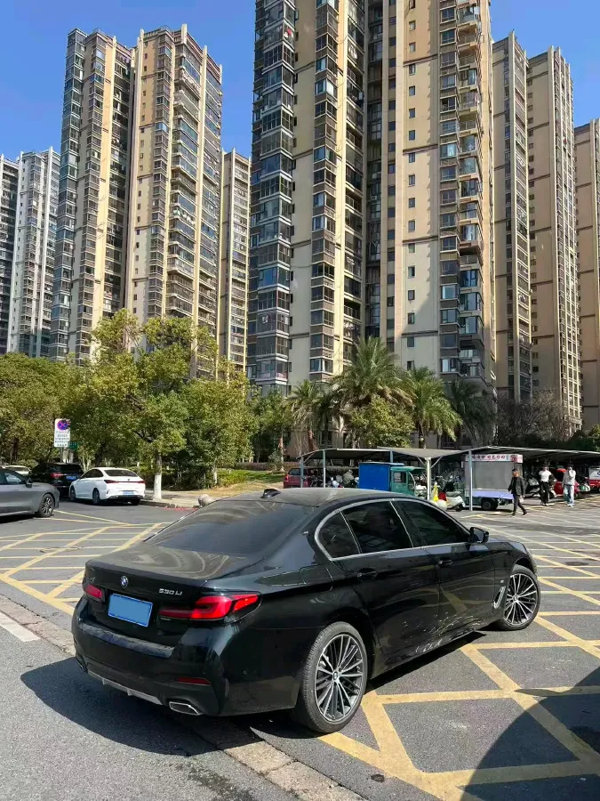 2022 BMW 5 Series 2.0T 252HP L4 8AT,autocango,china used car exporter,china ev exporter,chinese used car exporter,chinese used ev exporter