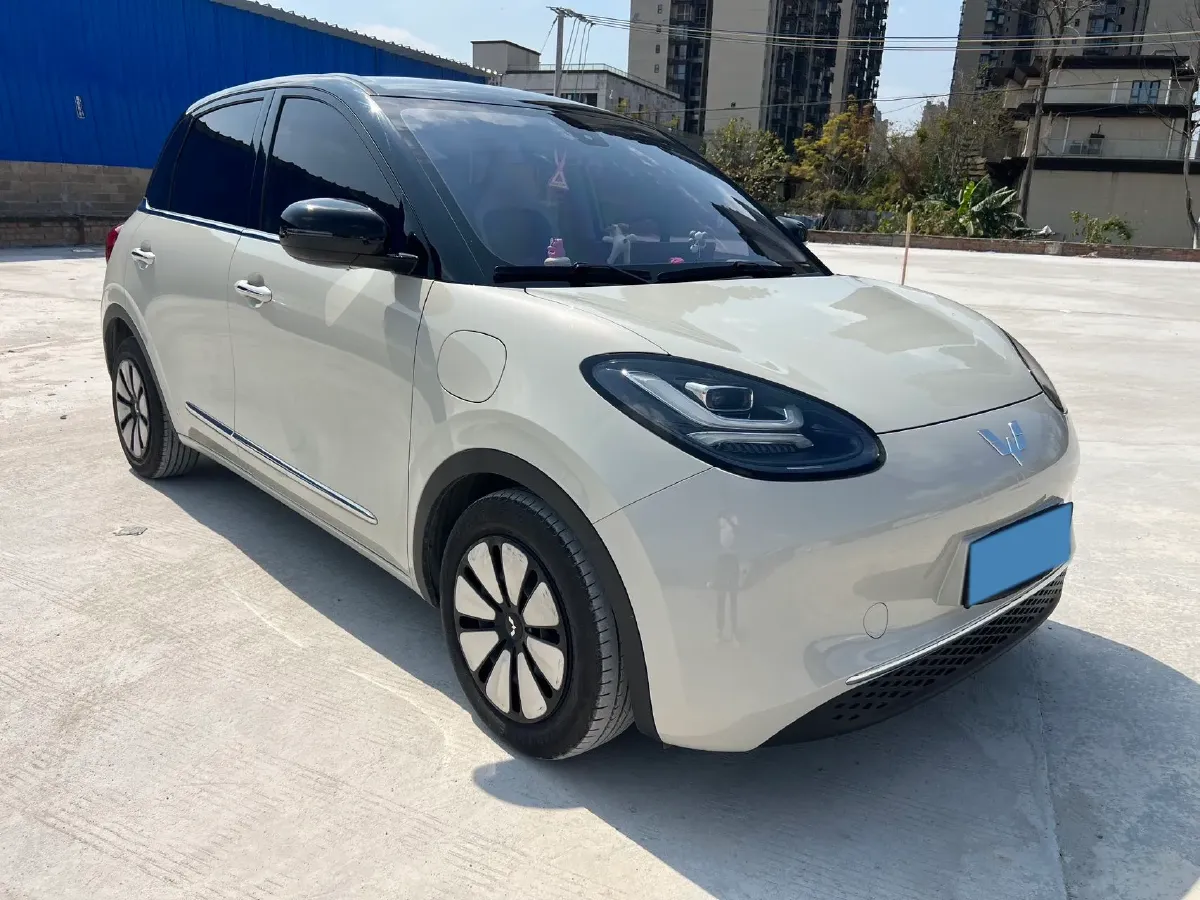 2023 WuLing BinGuo BEV 31.9KWH,autocango,china used car exporter,china ev exporter,chinese used car exporter,chinese used ev exporter