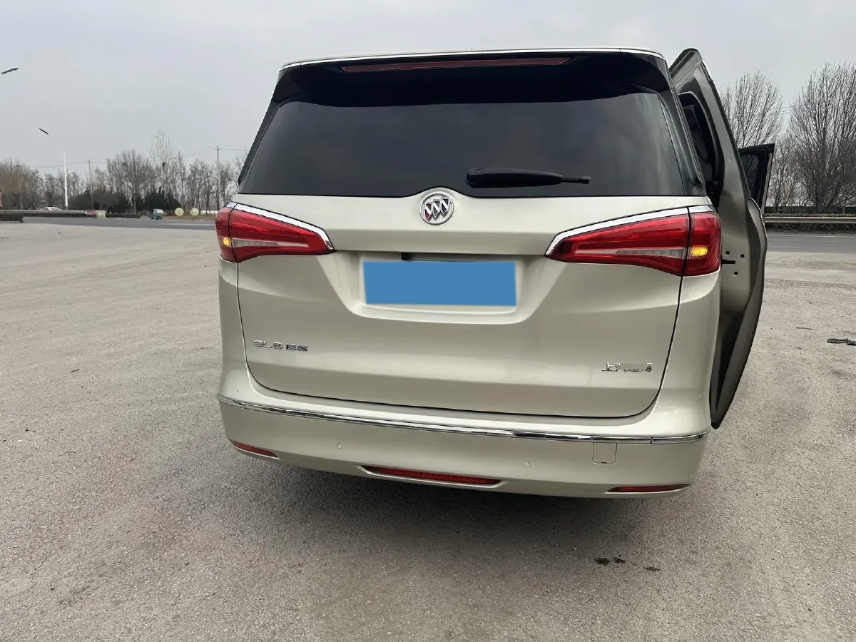 2018 Buick GL8 2.0T 260HP L4 6AT,autocango,china used car exporter,china ev exporter,chinese used car exporter,chinese used ev exporter