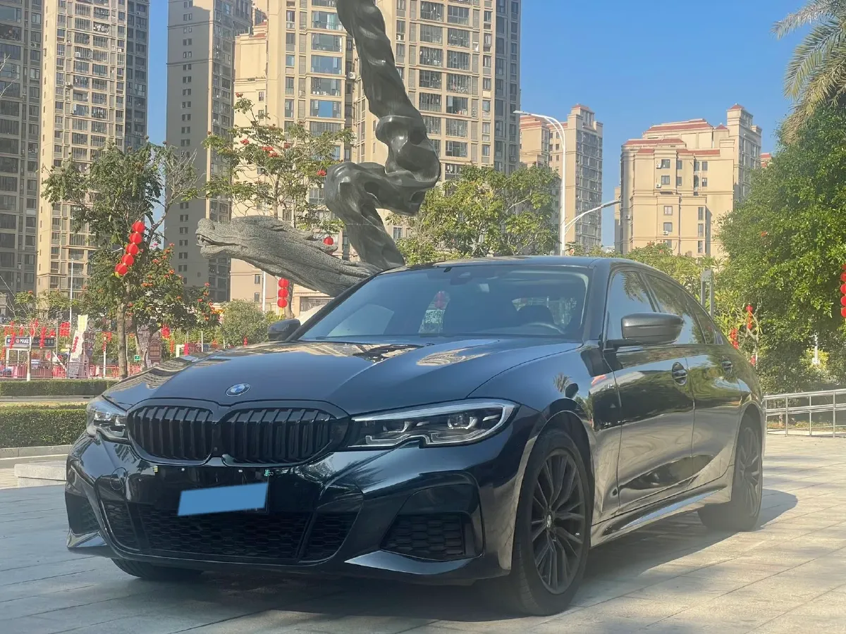 2020 BMW 3 Series 2.0T 184HP L4 8AT,autocango,china used car exporter,china ev exporter,chinese used car exporter,chinese used ev exporter