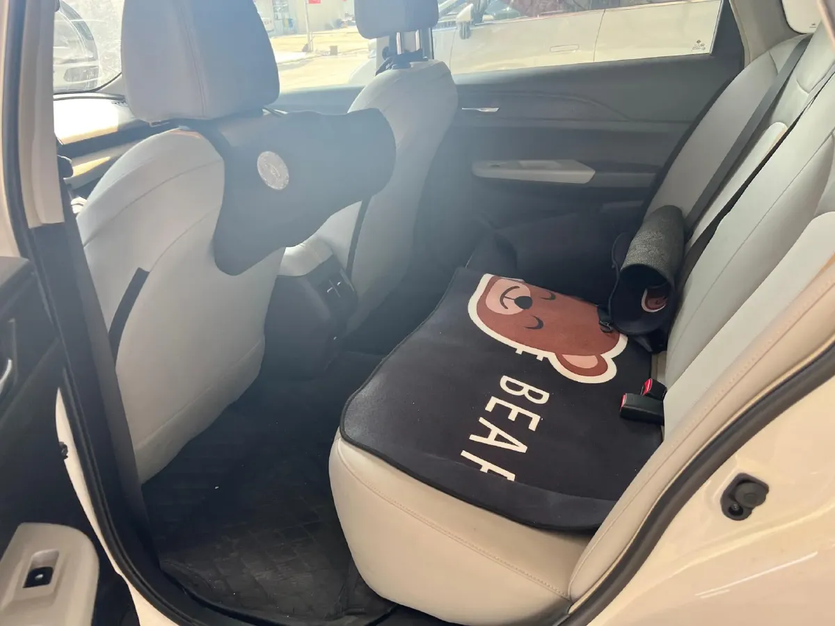 2023 DongFeng Aeolus E70 BEV 50.23KWH,autocango,china used car exporter,china ev exporter,chinese used car exporter,chinese used ev exporter