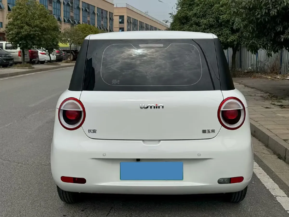 2024 ChangAn QiYuan Lumin BEV 13.41KWH,autocango,china used car exporter,china ev exporter,chinese used car exporter,chinese used ev exporter