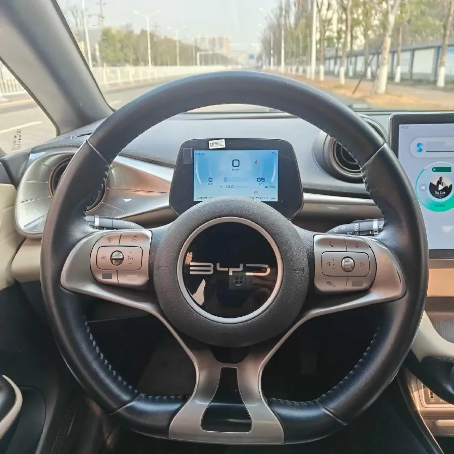 2023 BYD Dolphin BEV 44.928KWH,autocango,china used car exporter,china ev exporter,chinese used car exporter,chinese used ev exporter