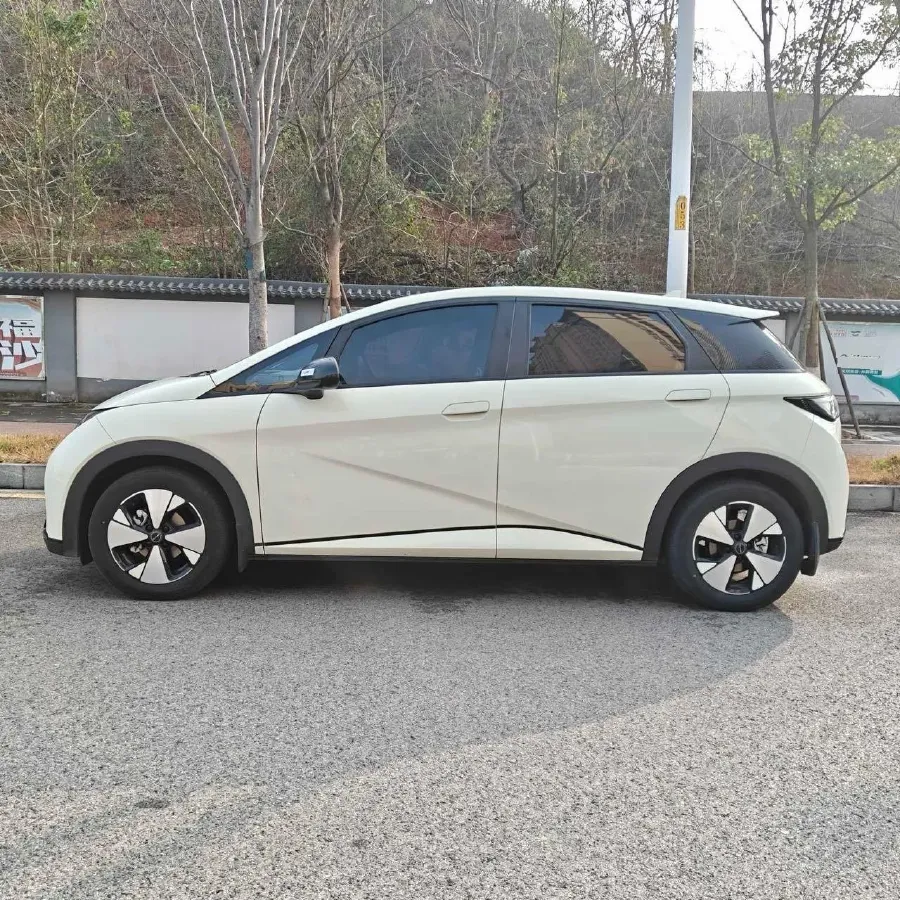 2023 BYD Dolphin BEV 44.928KWH,autocango,china used car exporter,china ev exporter,chinese used car exporter,chinese used ev exporter