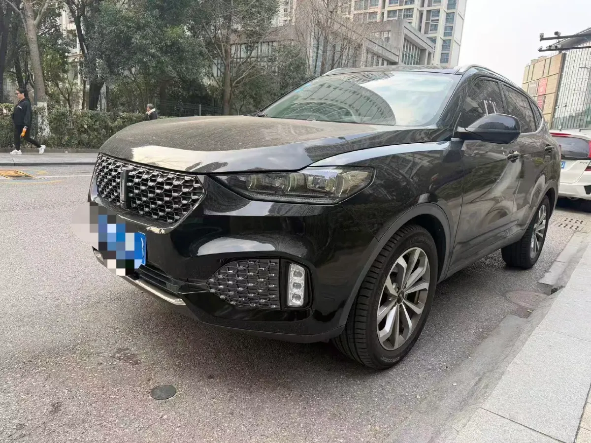 2020 WEY VV6 2.0T 227HP L4 7DCT,autocango,china used car exporter,china ev exporter,chinese used car exporter,chinese used ev exporter
