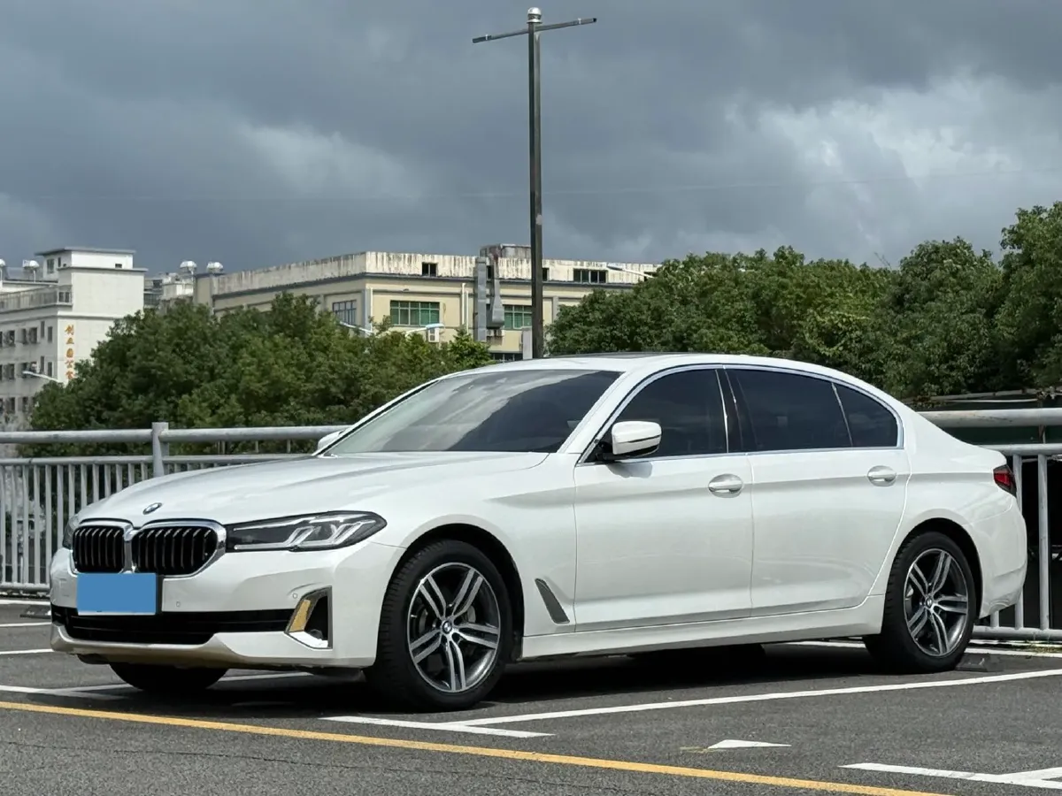 2021 BMW 5 Series 2.0T 252HP L4 8AT,autocango,china used car exporter,china ev exporter,chinese used car exporter,chinese used ev exporter
