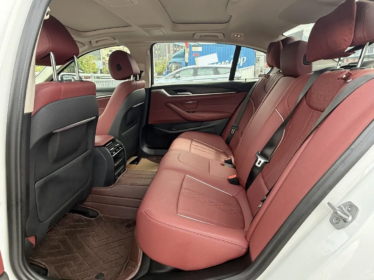 2021 BMW 5 Series 2.0T 252HP L4 8AT,autocango,china used car exporter,china ev exporter,chinese used car exporter,chinese used ev exporter