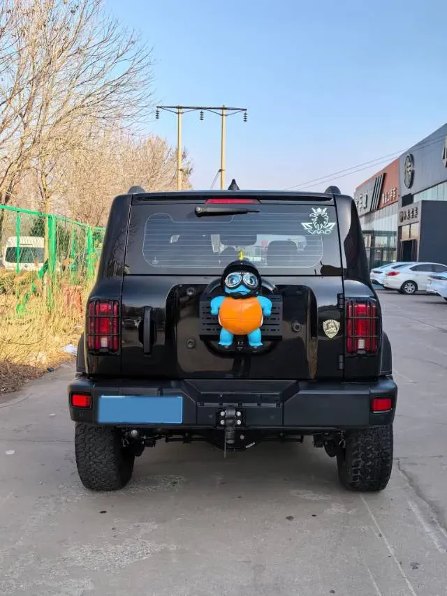 2021 Tank 300 2.0T 227HP L4 8AT,autocango,china used car exporter,china ev exporter,chinese used car exporter,chinese used ev exporter