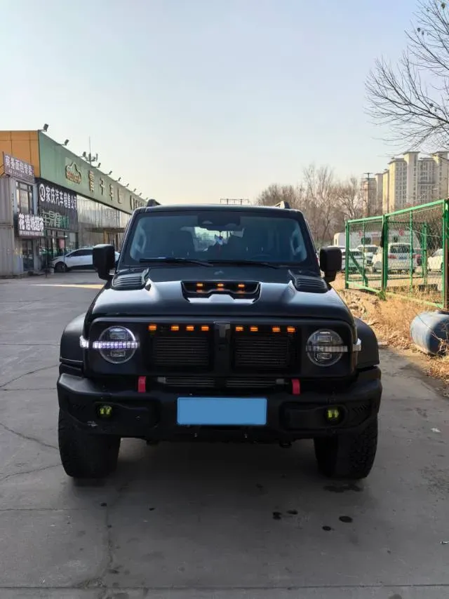 2021 Tank 300 2.0T 227HP L4 8AT,autocango,china used car exporter,china ev exporter,chinese used car exporter,chinese used ev exporter