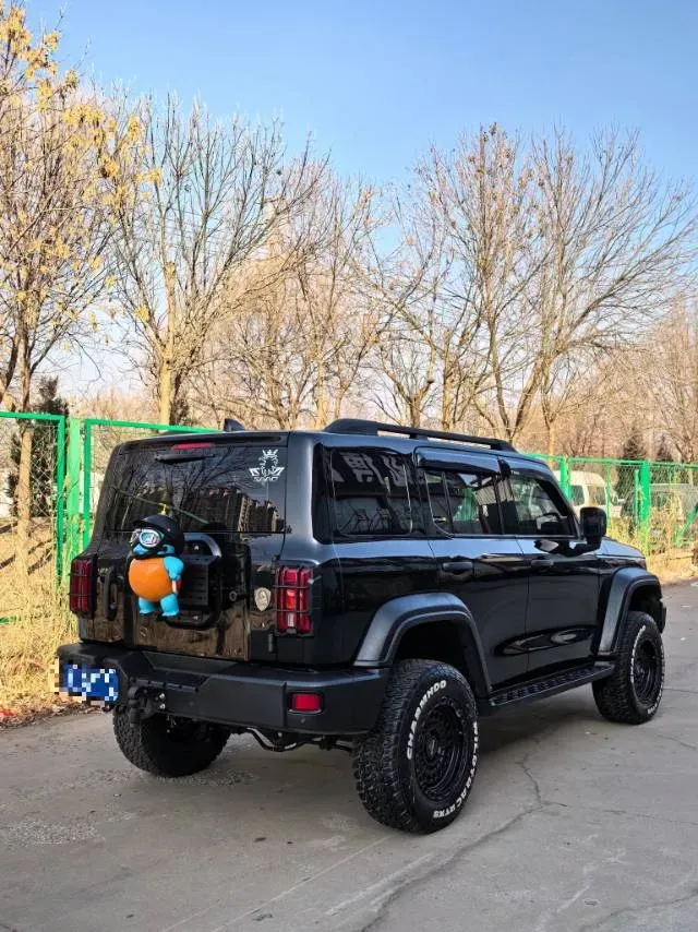 2021 Tank 300 2.0T 227HP L4 8AT,autocango,china used car exporter,china ev exporter,chinese used car exporter,chinese used ev exporter